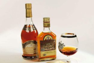 上海酒類批發(fā)許可證辦理所需材料與流程指南