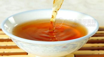 小米釀批發與招商指南 廠家直供、價格趨勢與酒類市場機遇